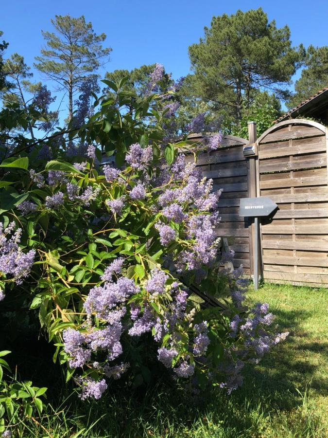Escale Sous Les Pins Villa แซลส์ล ภายนอก รูปภาพ